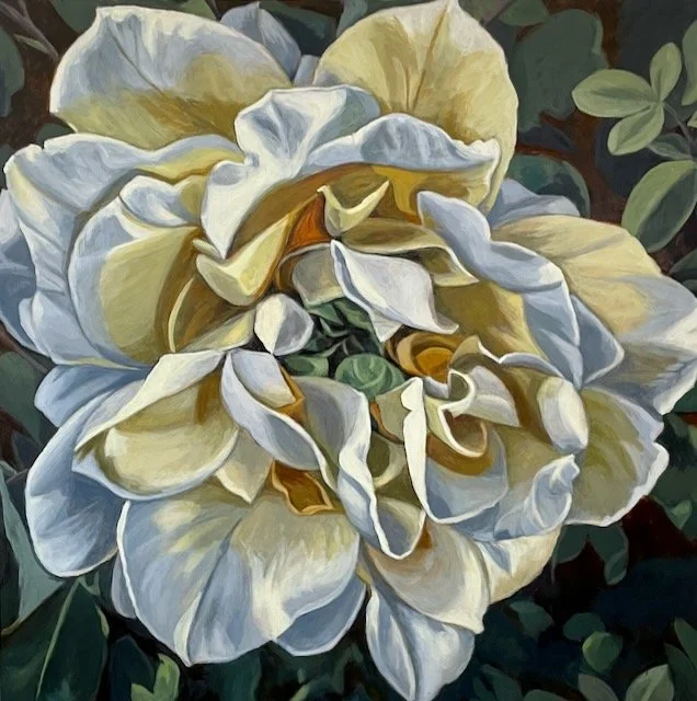 Golden Glow 30" x 30"