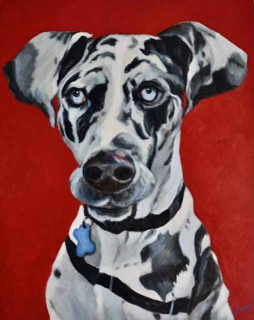 Great Dane