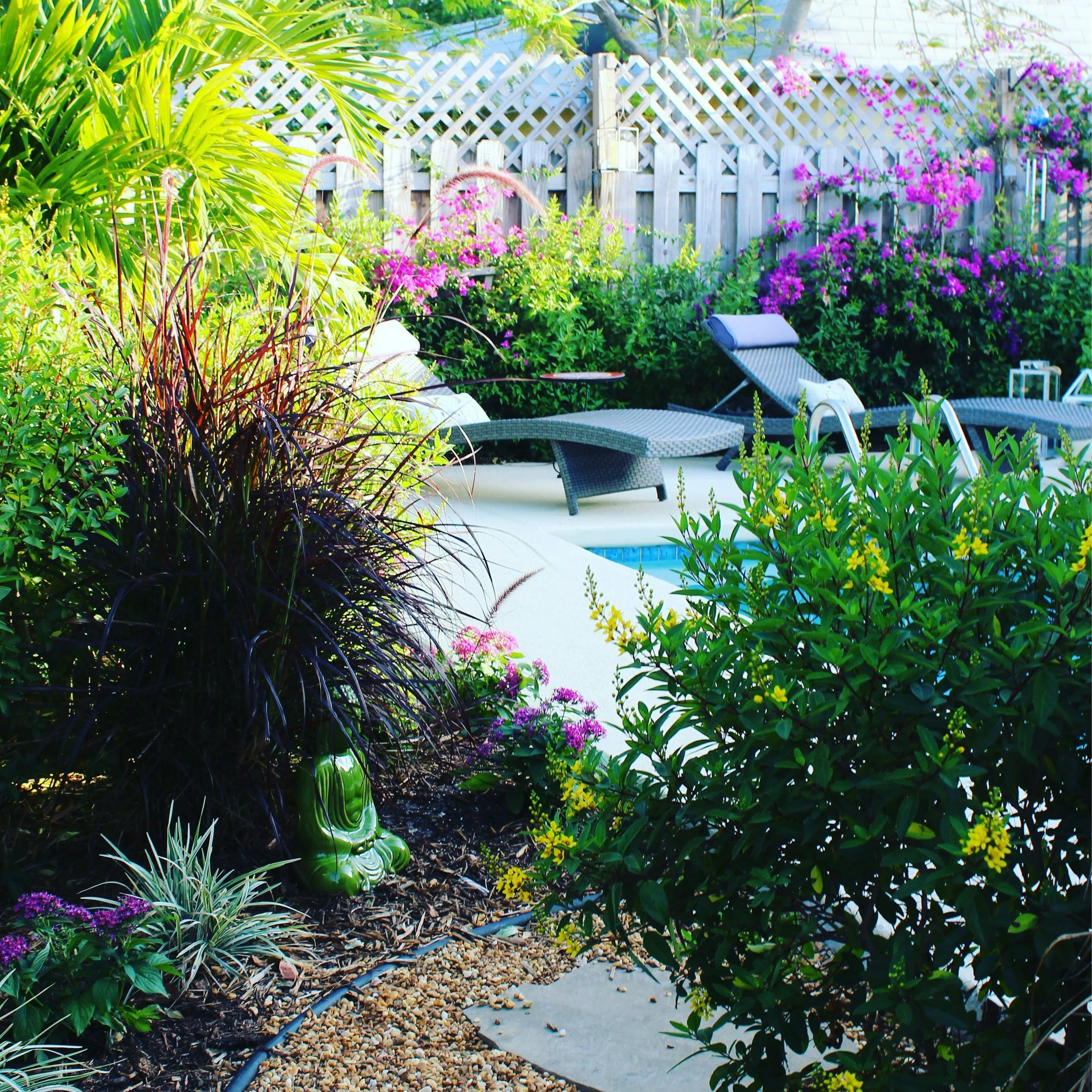 A backyard garden with lush green plants and pink, purple, and yellow flowers along a stone pathway and lounge chairs, enclosed by a wooden fence with lattice top and climbing pink flowers.