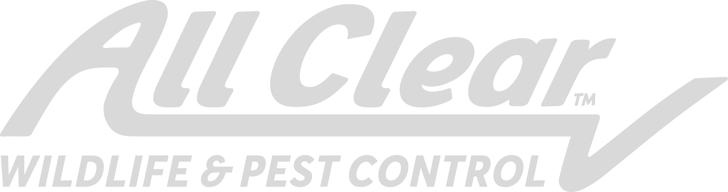 All Clear Pest Control | Wildlife Removal | Fort Lauderdale