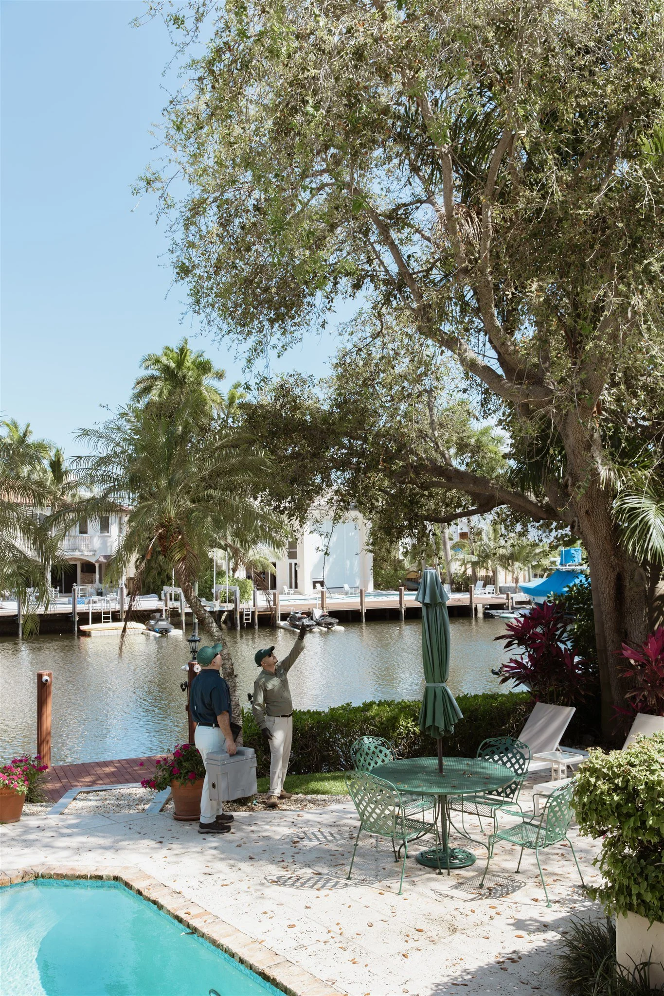Two men standing near a waterfront, one pointing up into a large leafy tree with a blue sky overhead. There are patio furniture, a small pool, and a boat docked on the water in the background.
