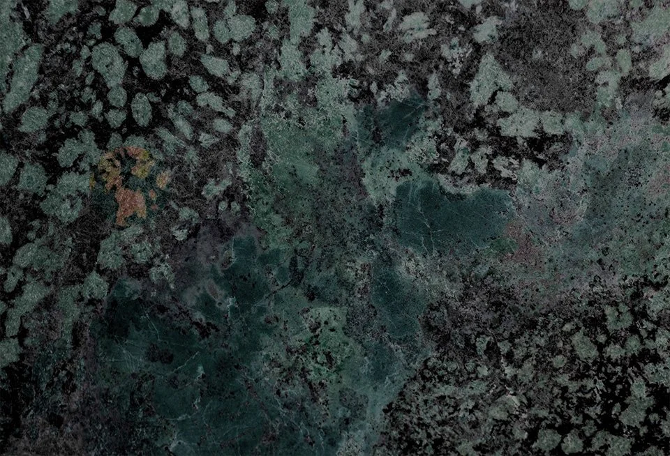 Mould ridden wall