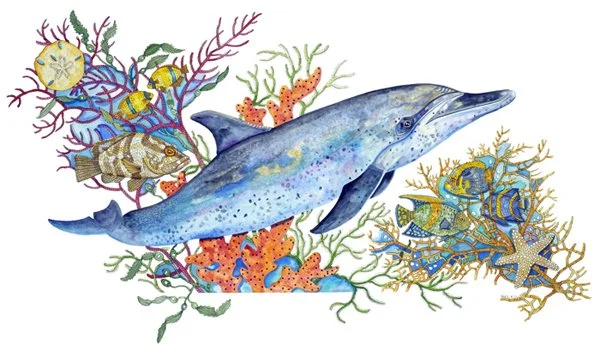 Dolphin-Company.jpg