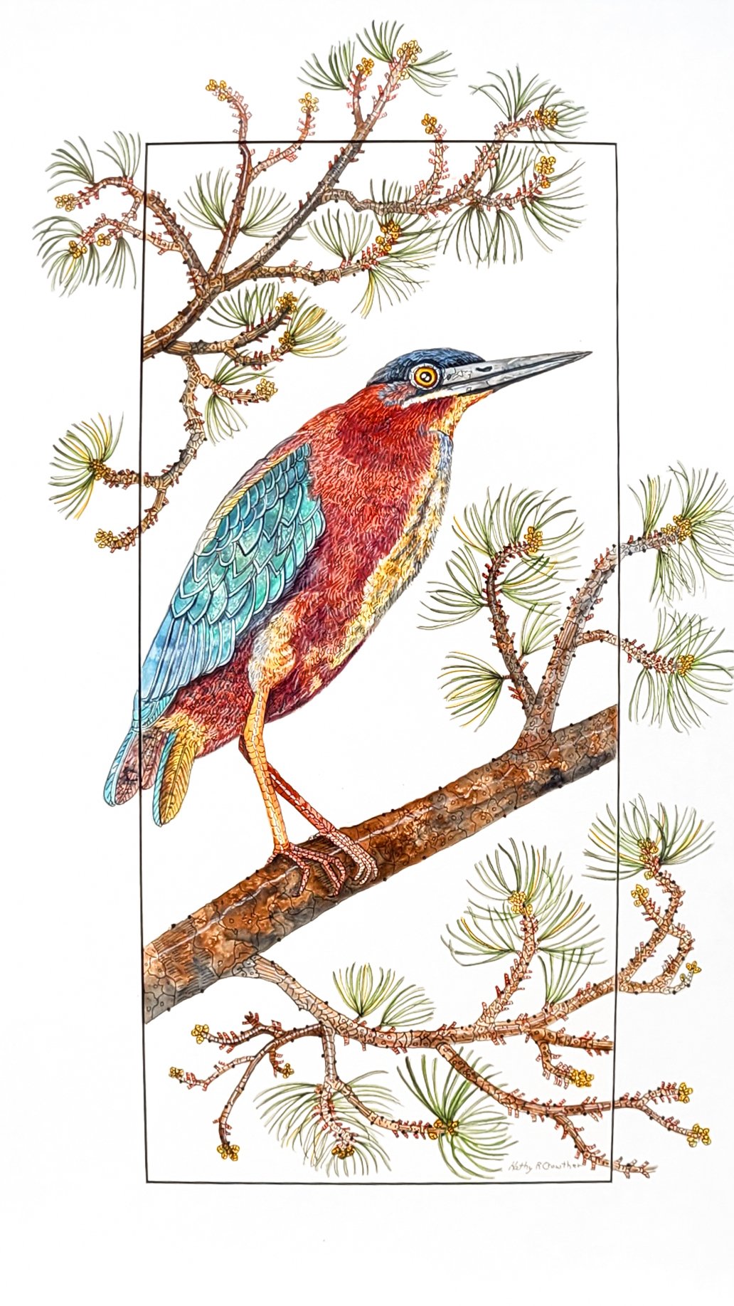 Green Heron - 18" x 30"