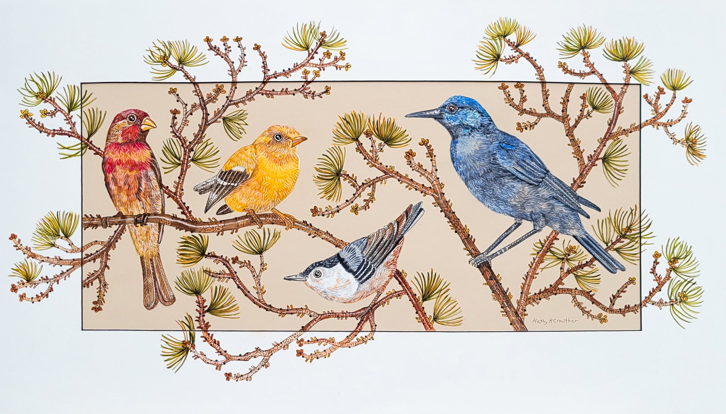 Colorado Birds - 30" x 18"