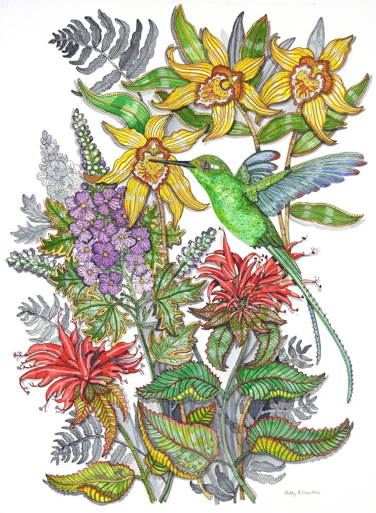 Humming-Bird.jpg
