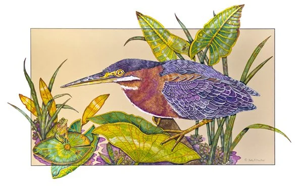 green-heron.jpg