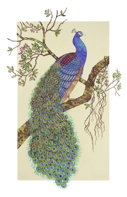 peacock.jpg