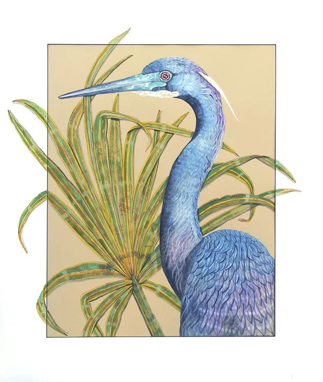 TriColored-Heron-web.jpg