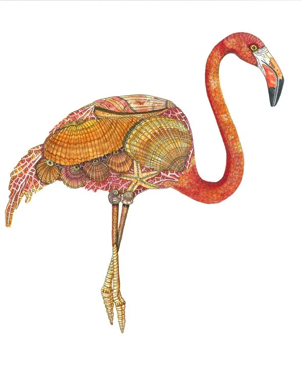 Flamingo-Dancing-1.jpg