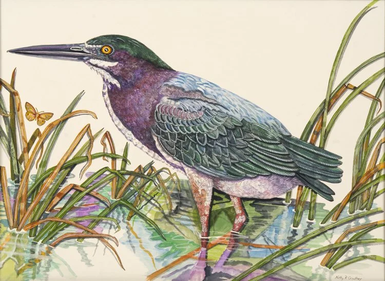Green-Heron-in-the-Marsh.jpg