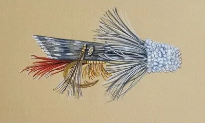 20201211_085035-2_1-web-1.jpg