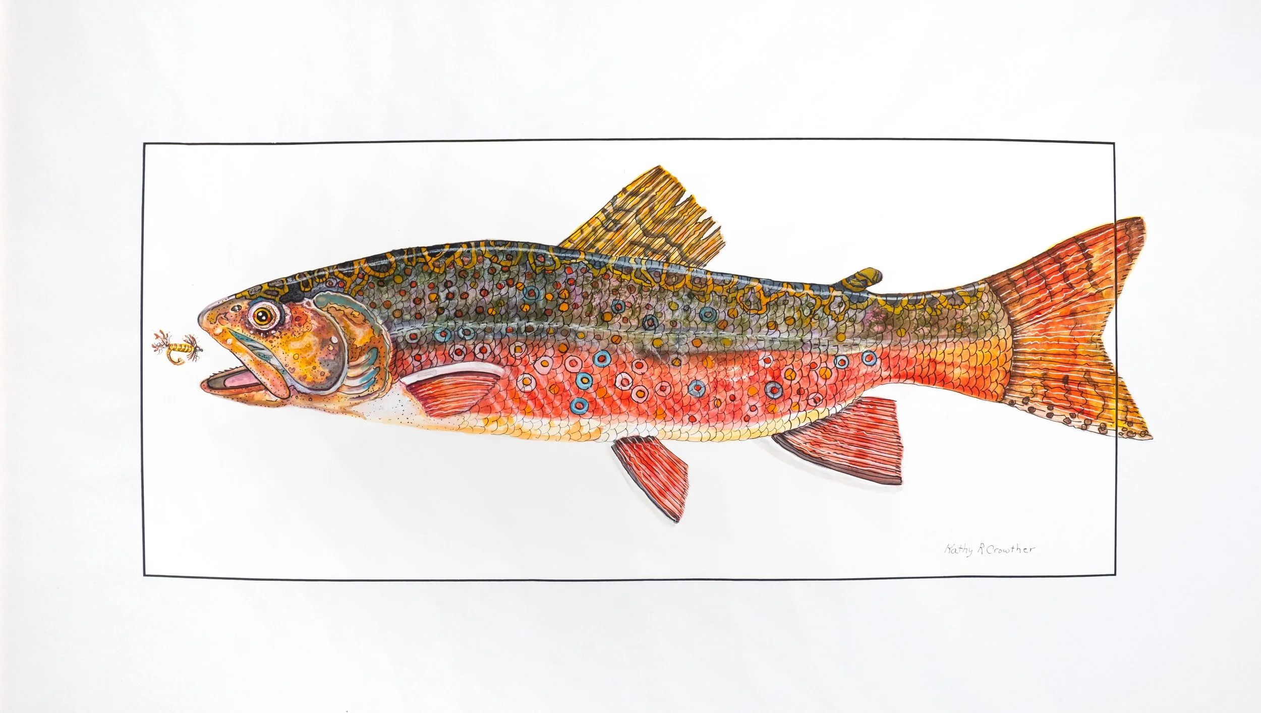 Cutthroat Trout - 30" x 18"