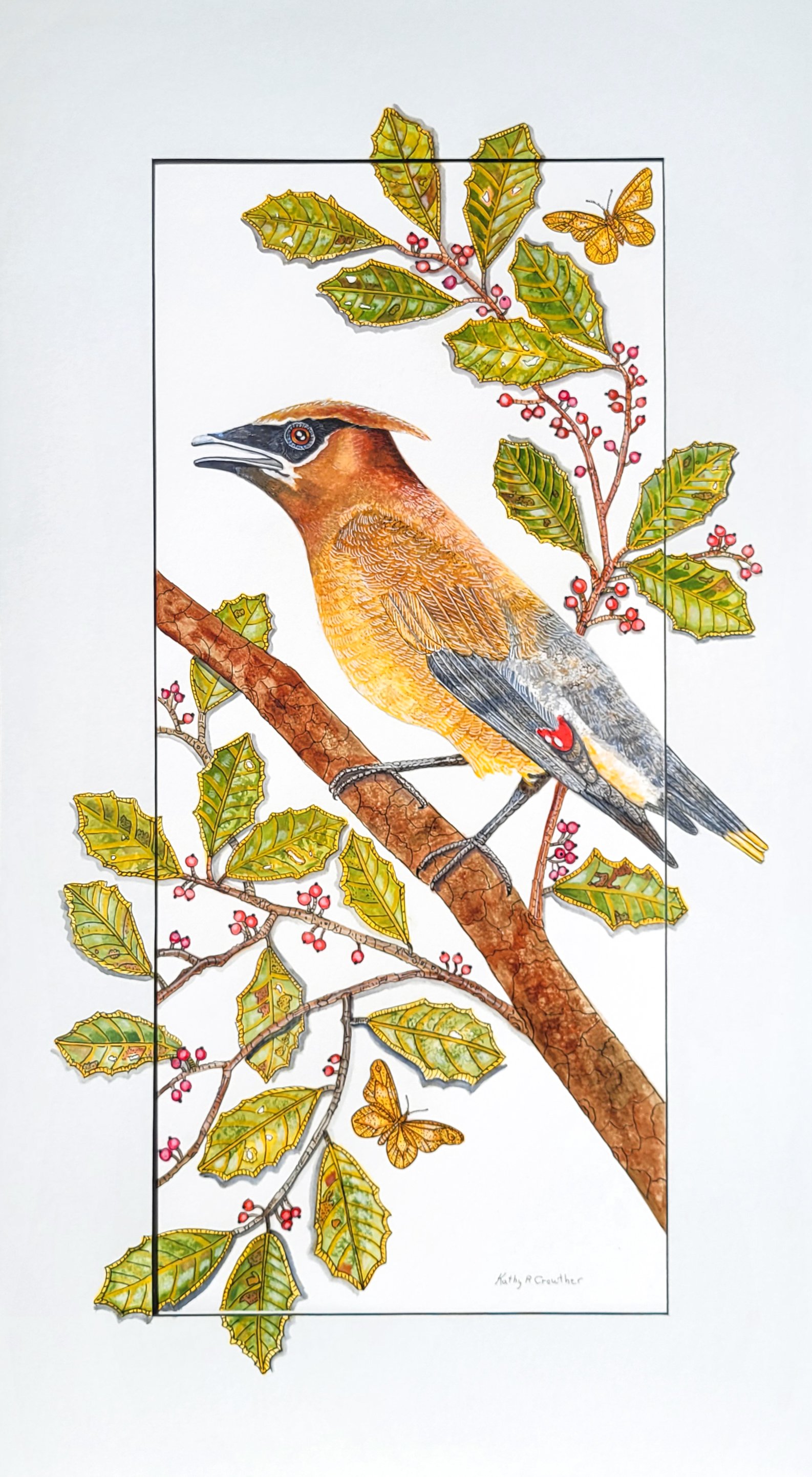 Cedar Waxwing - 18" x 30"
