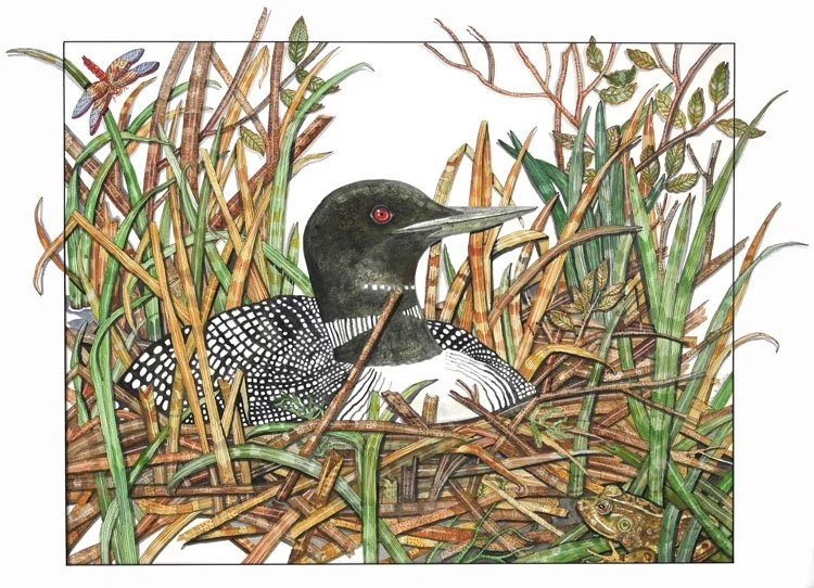 Loon.jpg