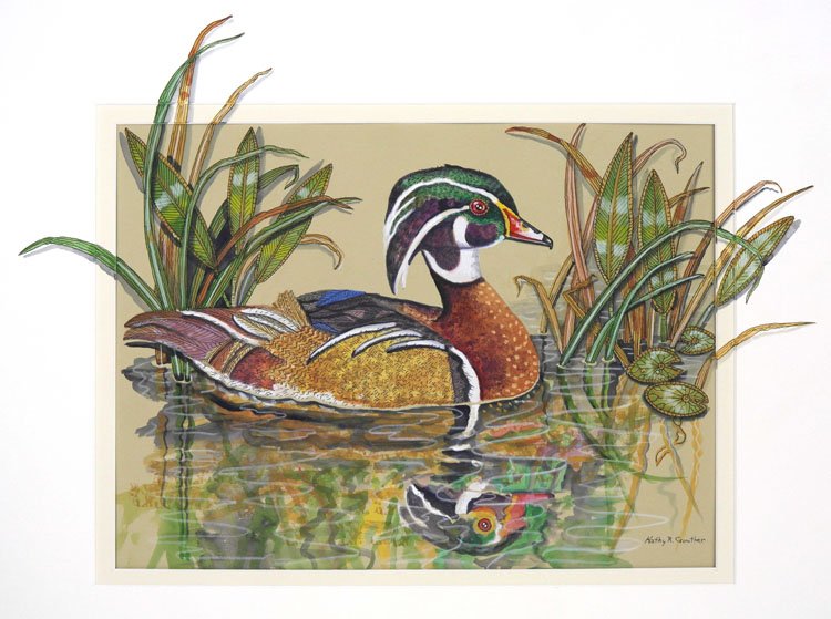 wood-duck-w-reflection.jpg