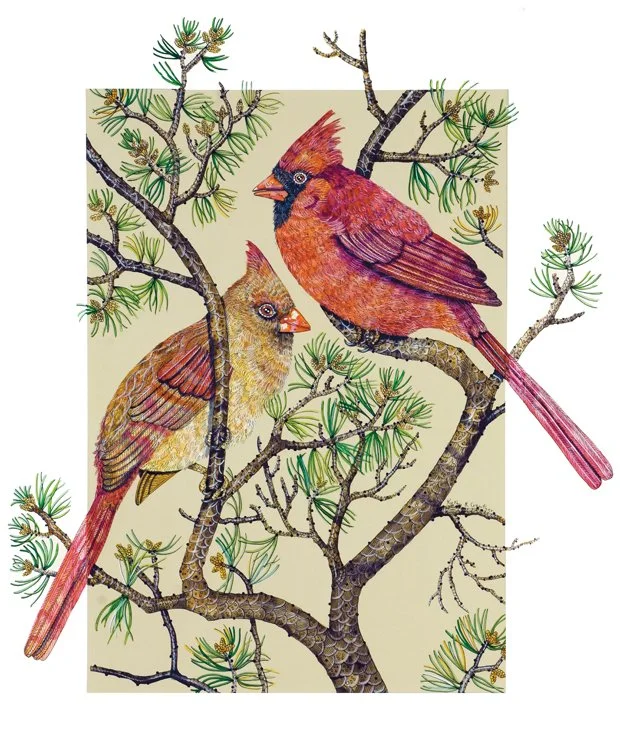 Out-on-a-Limb.jpg