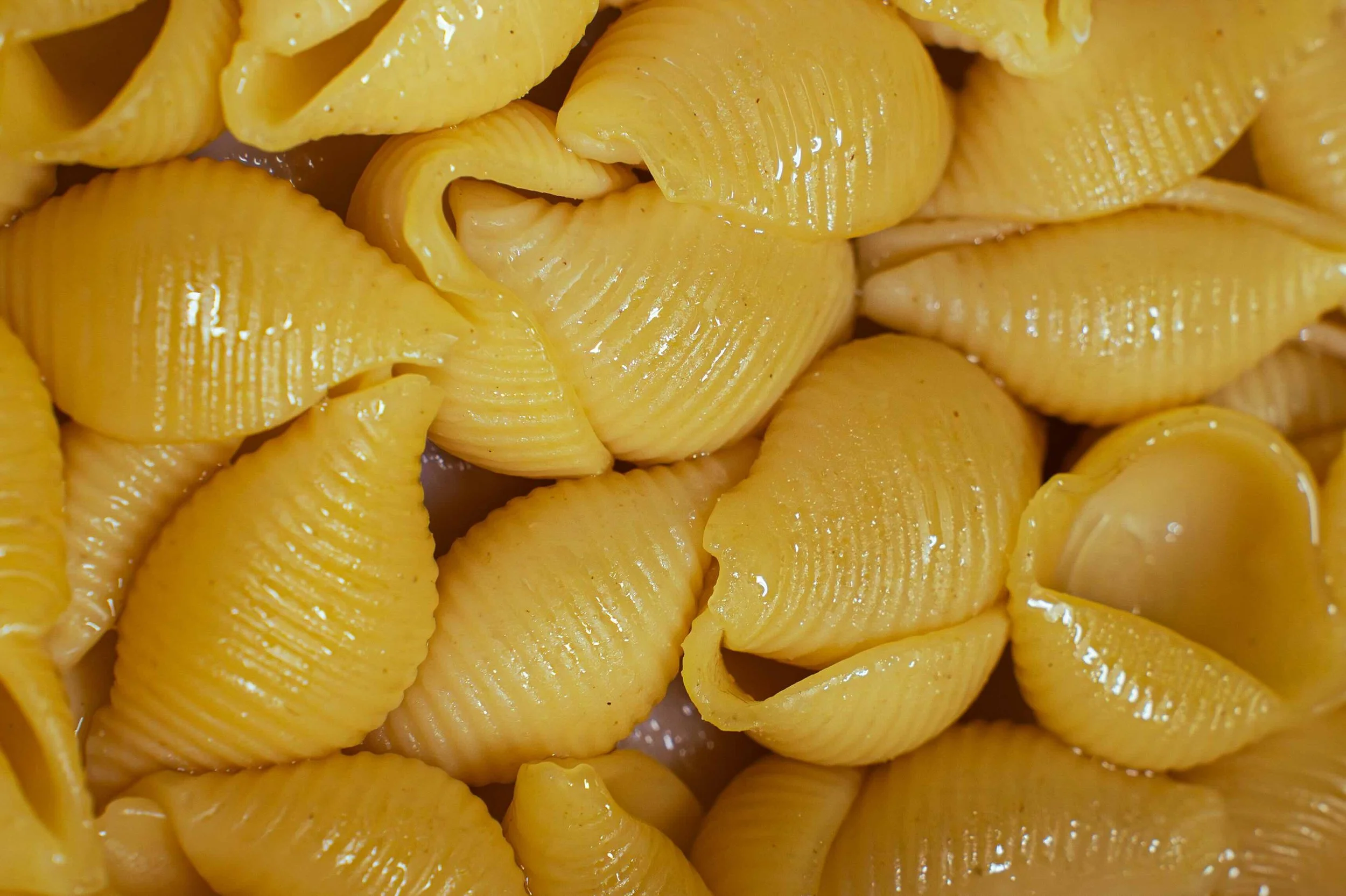 Close-up image of cooked conchiglie pasta shells with a yellow hue.