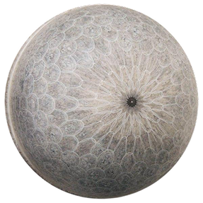 Close-up of a spherical object with intricate, symmetrical patterns resembling a natural stone or coral surface