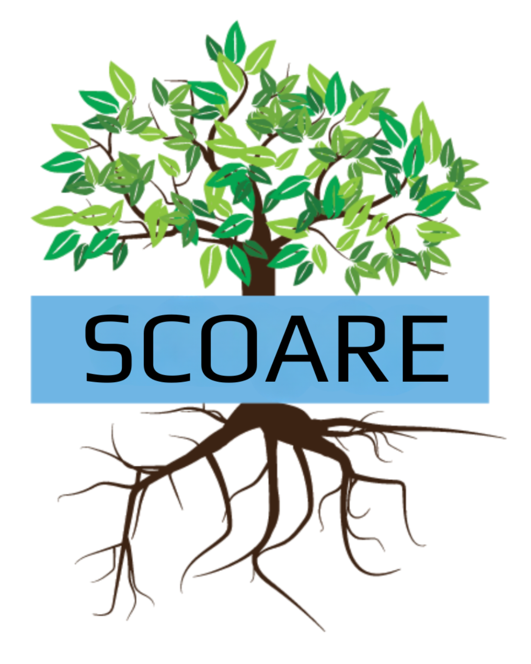 SCOARE logo graphic of fully grown tree with roots and a blue banner with the acronym "SCOARE"