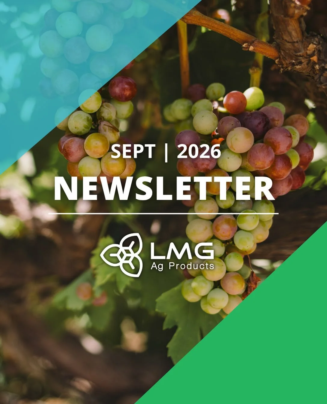 The latest from LMG Ag Products is here! 🌱📰

Our September Newsletter is officially out, featuring company updates, industry insights, employee spotlights, and a look at what&rsquo;s been happening across LMG.

Catch up on everything we&rsquo;ve be