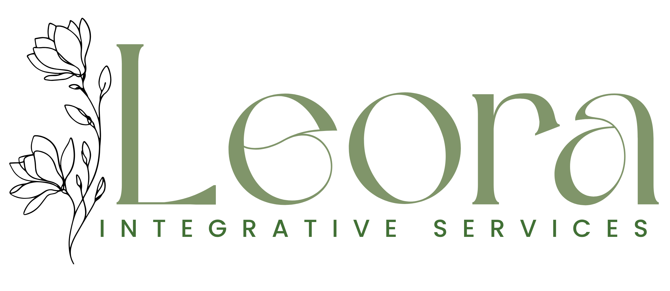Logo for Leon Integrative Services with the name in large green letters on a black background.