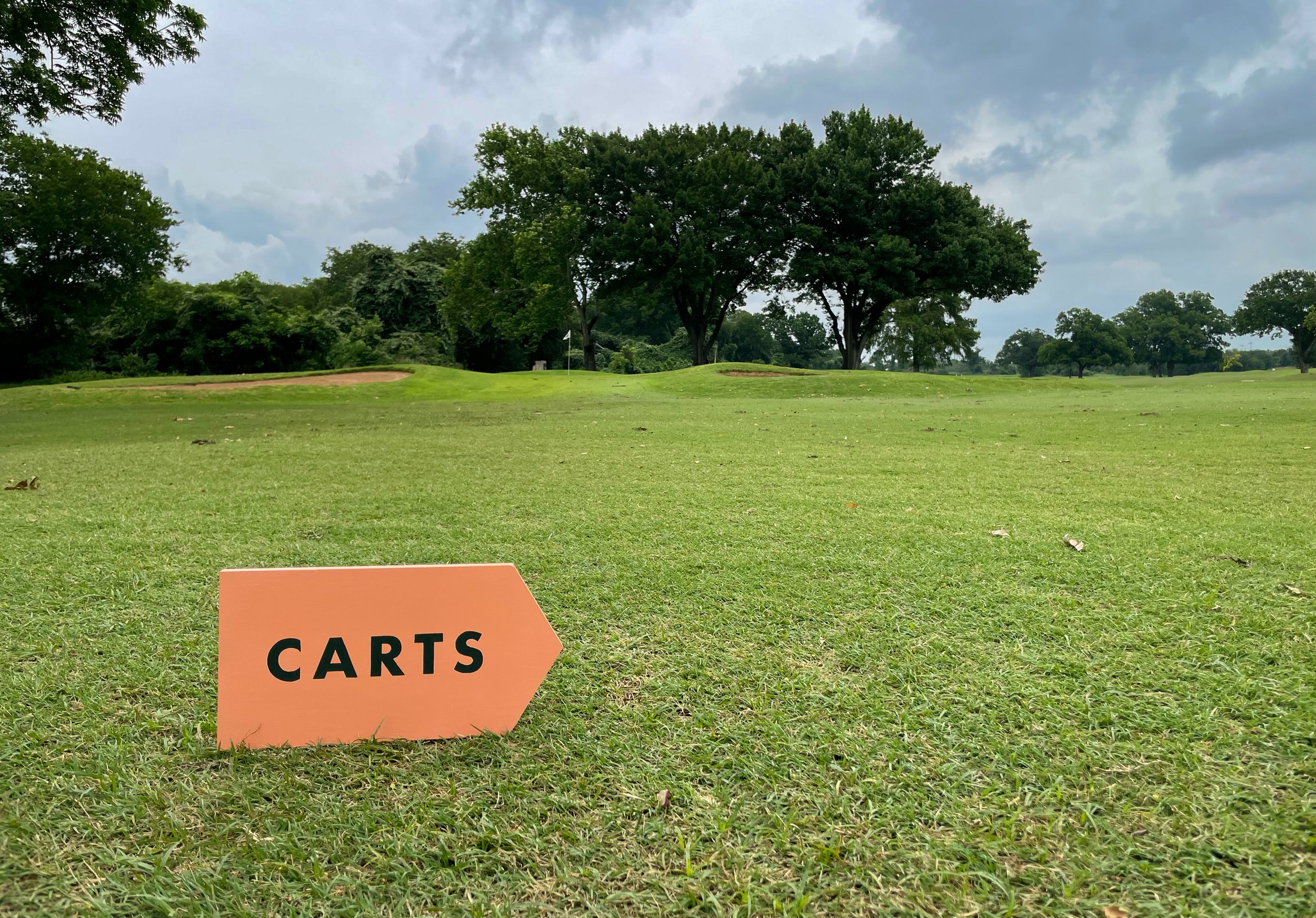 Carts Sign.jpg