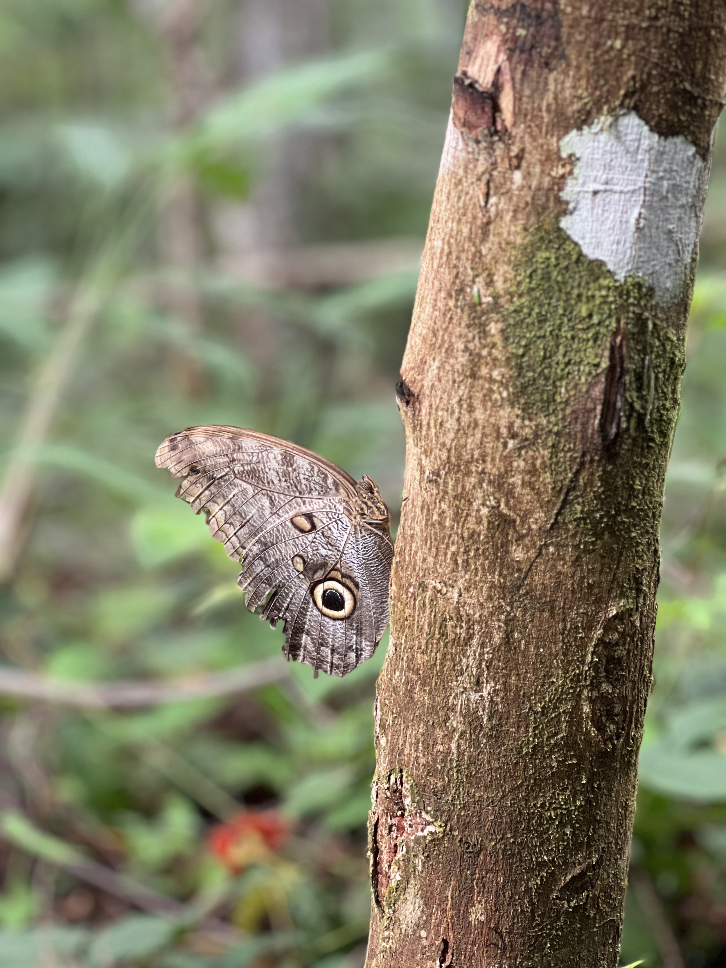 IMG_8190.jpeg