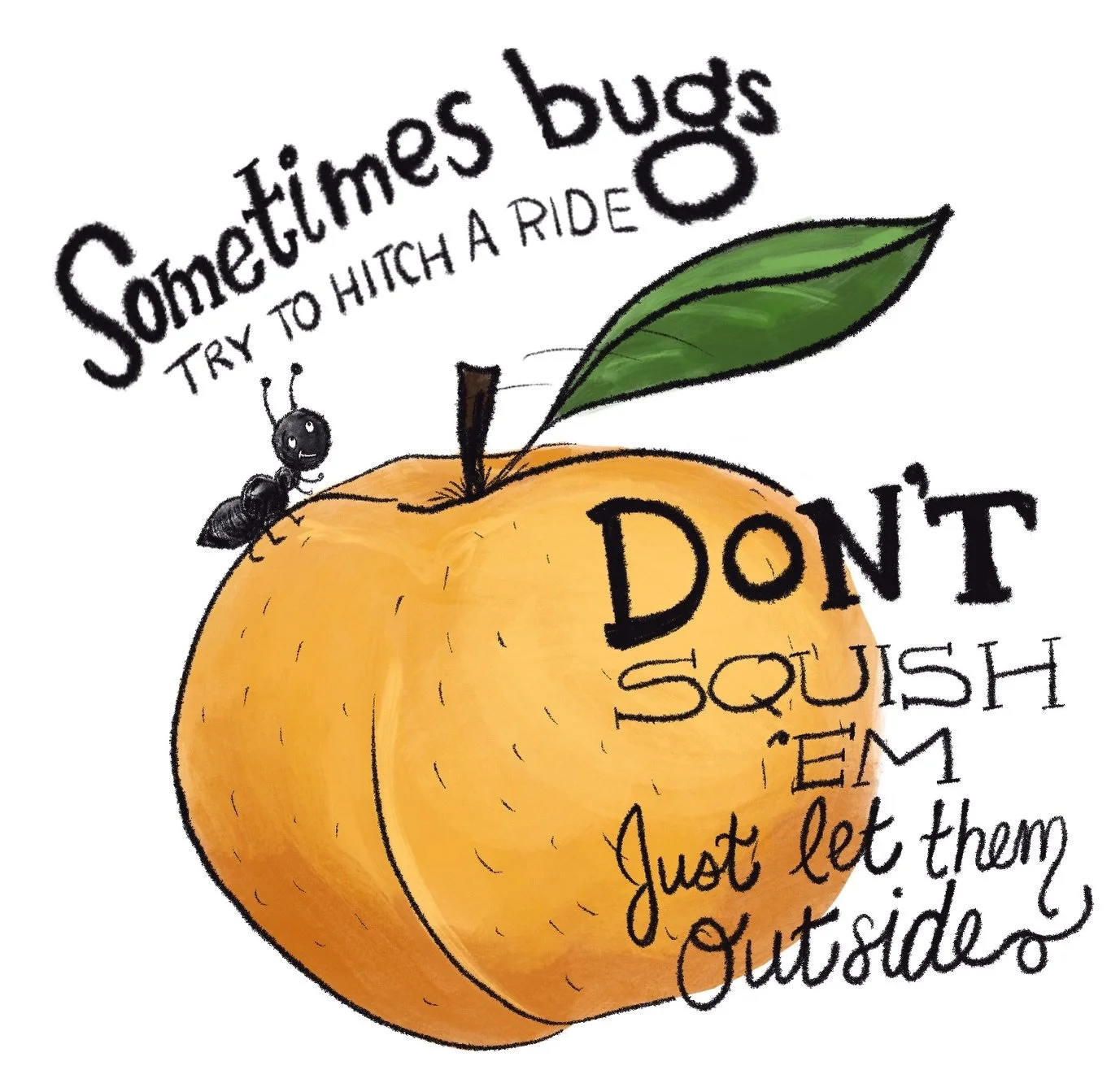 Sometimes 🐛 bugs try to hitch a ride on fresh produce&hellip; it&rsquo;s just part of nature and it&rsquo;s our mission to keep everyone safe so while we do our best to ensure there are no bugs 🐜 🚫 we don&rsquo;t use pesticides so a straggler migh