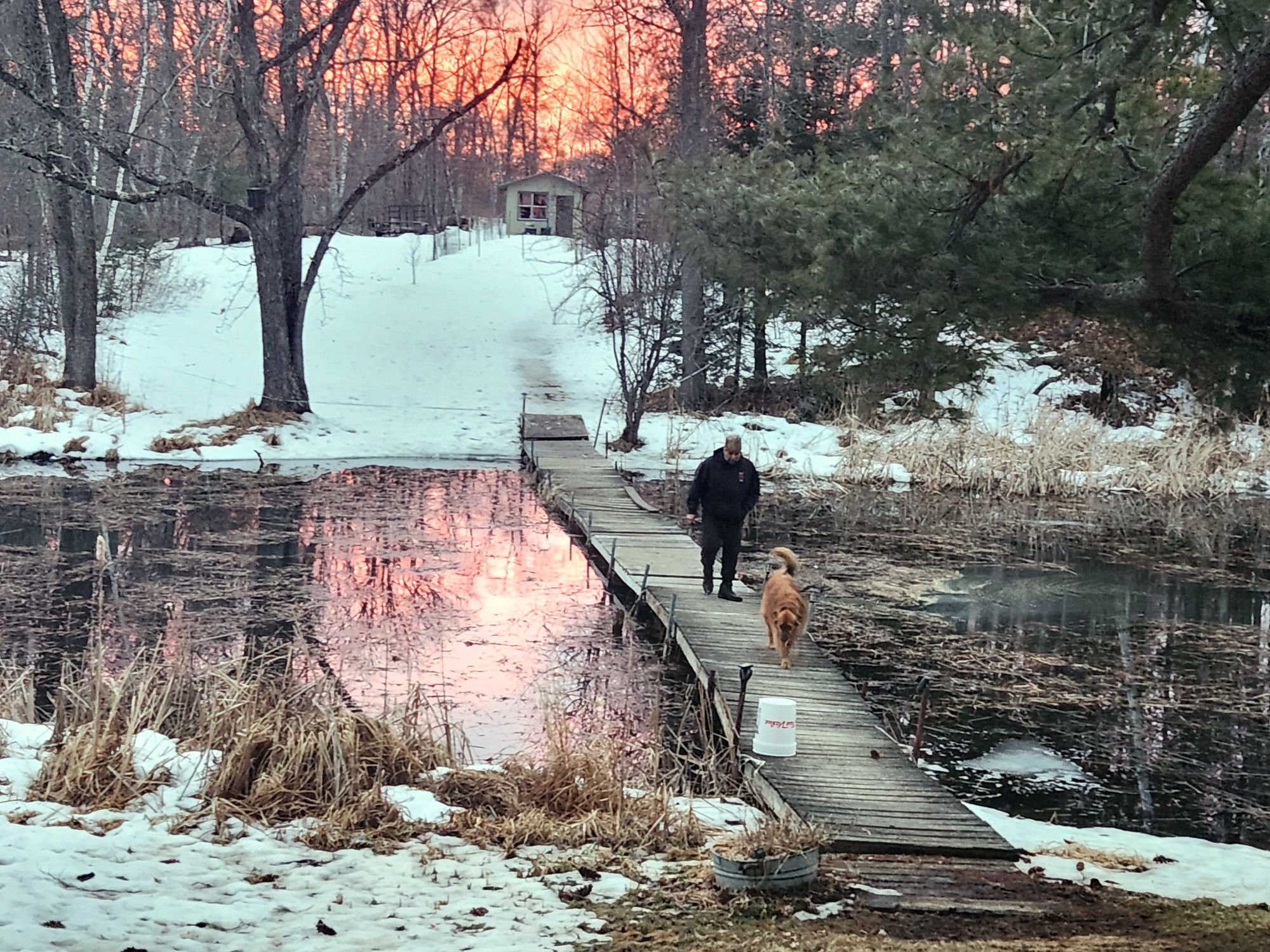 A snowy landscape with a wooden footbridge over a small body of water. A person in dark clothing and two dogs walk on the bridge. In the background, a small house is visible among leafless trees, with a sunset sky casting a pinkish glow.