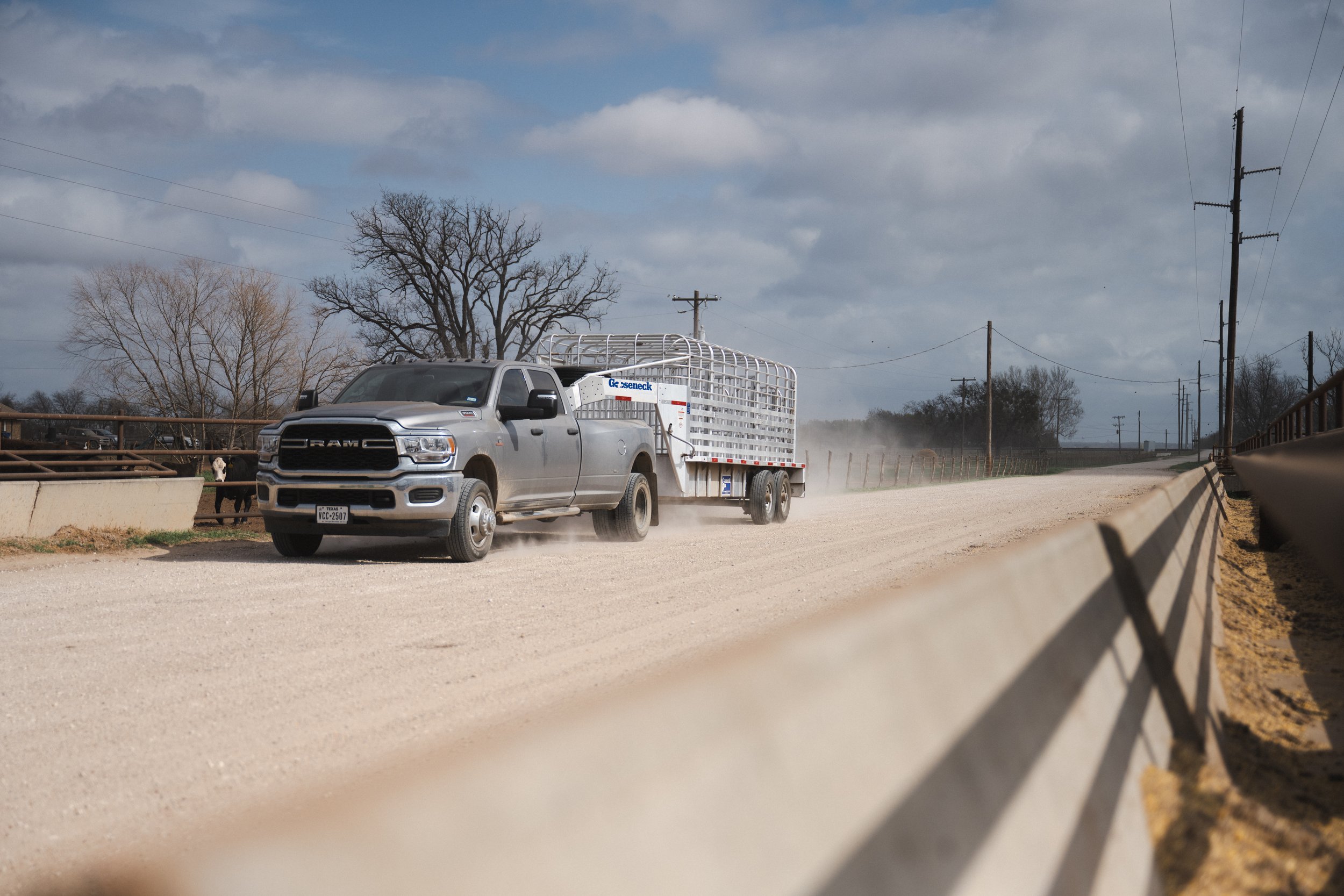 A silver pickup truck pulling a large livestock trailer on a gravel road, with leafless trees and power lines in the background under a partly cloudy sky.