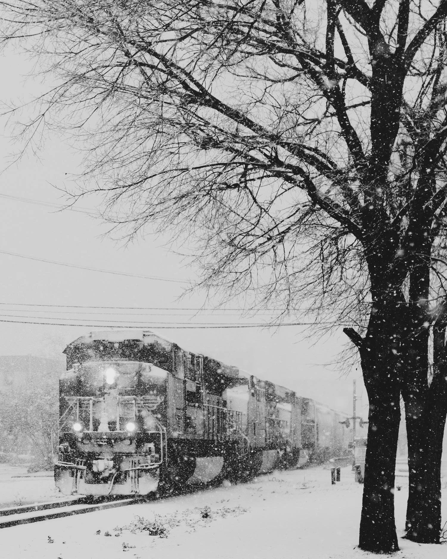A snow-covered street with a bus, trees, and houses. Snow is falling and visible on the ground and vehicles.