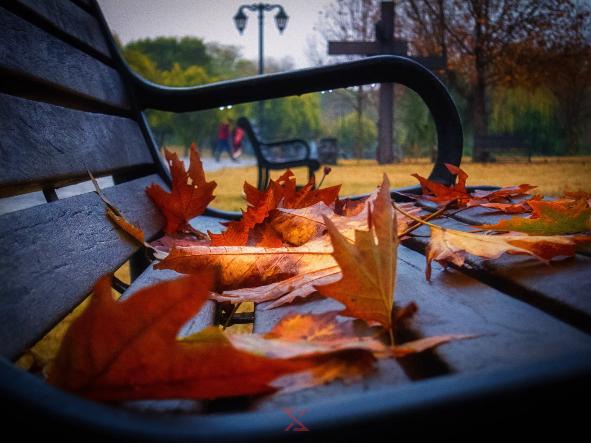 processed_1779605390214.jpg