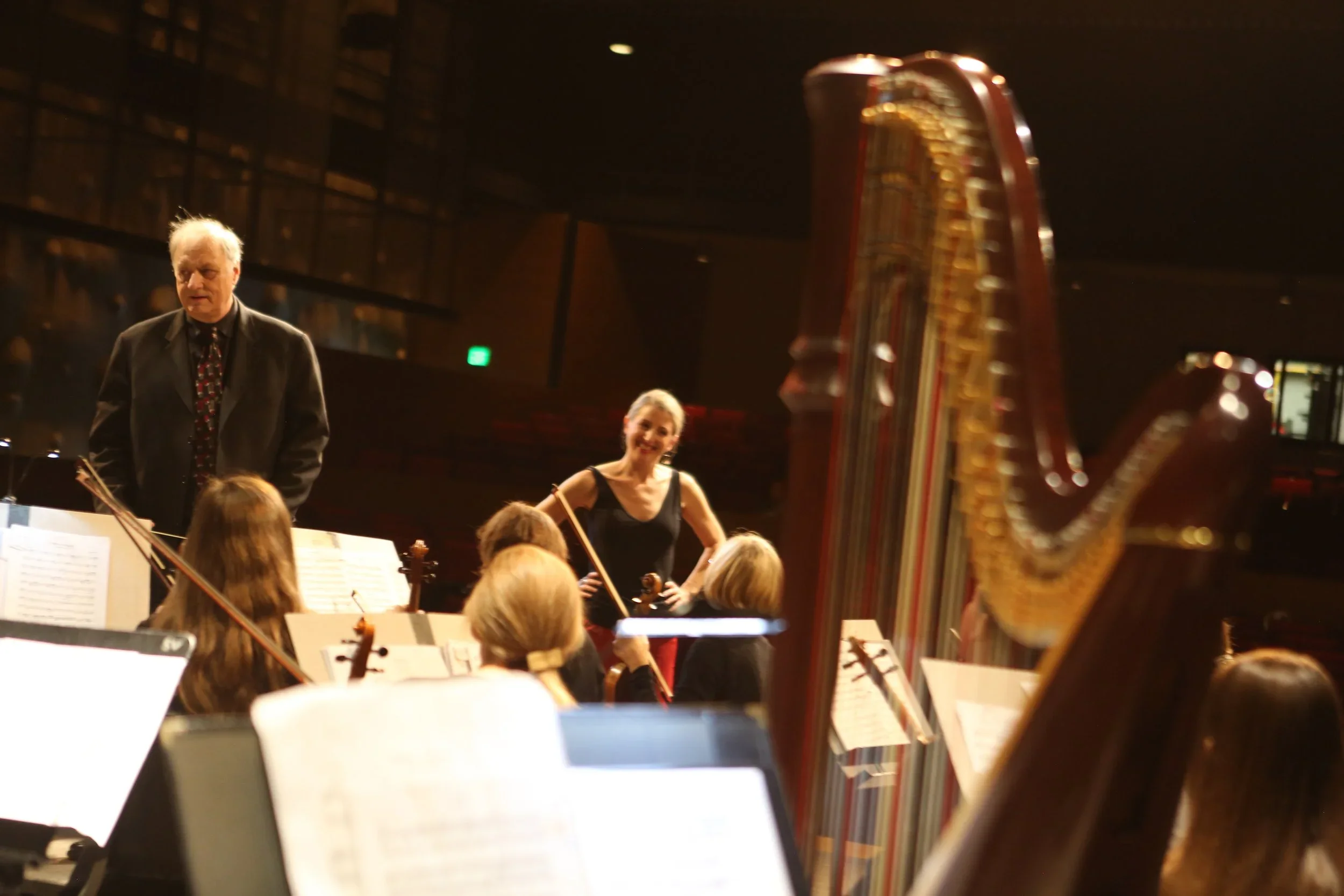 An orchestra rehearsal with musicians playing string instruments, a conductor leading, and a harp in the foreground inside a concert hall.