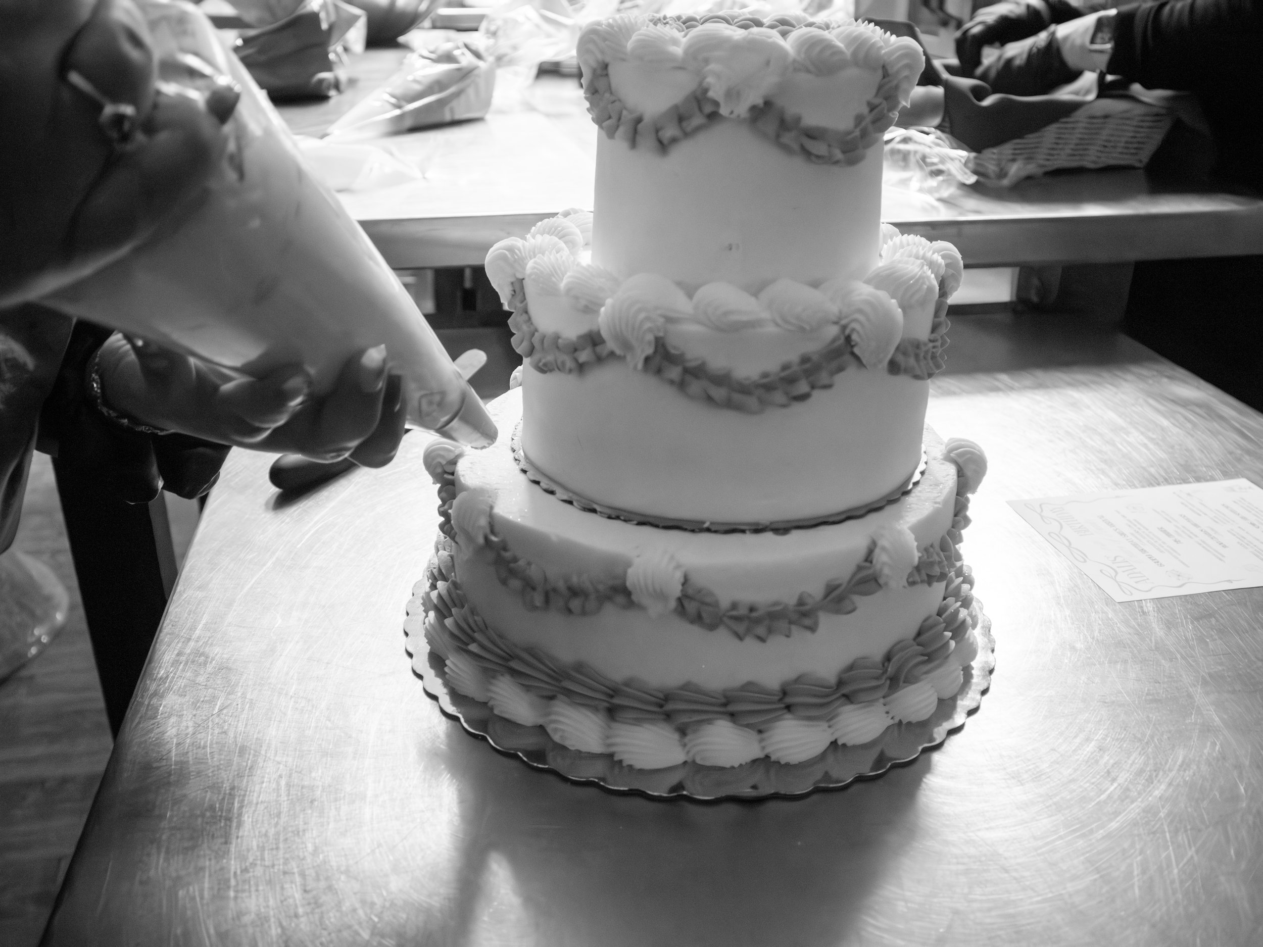 IMG_7095 copy.jpg