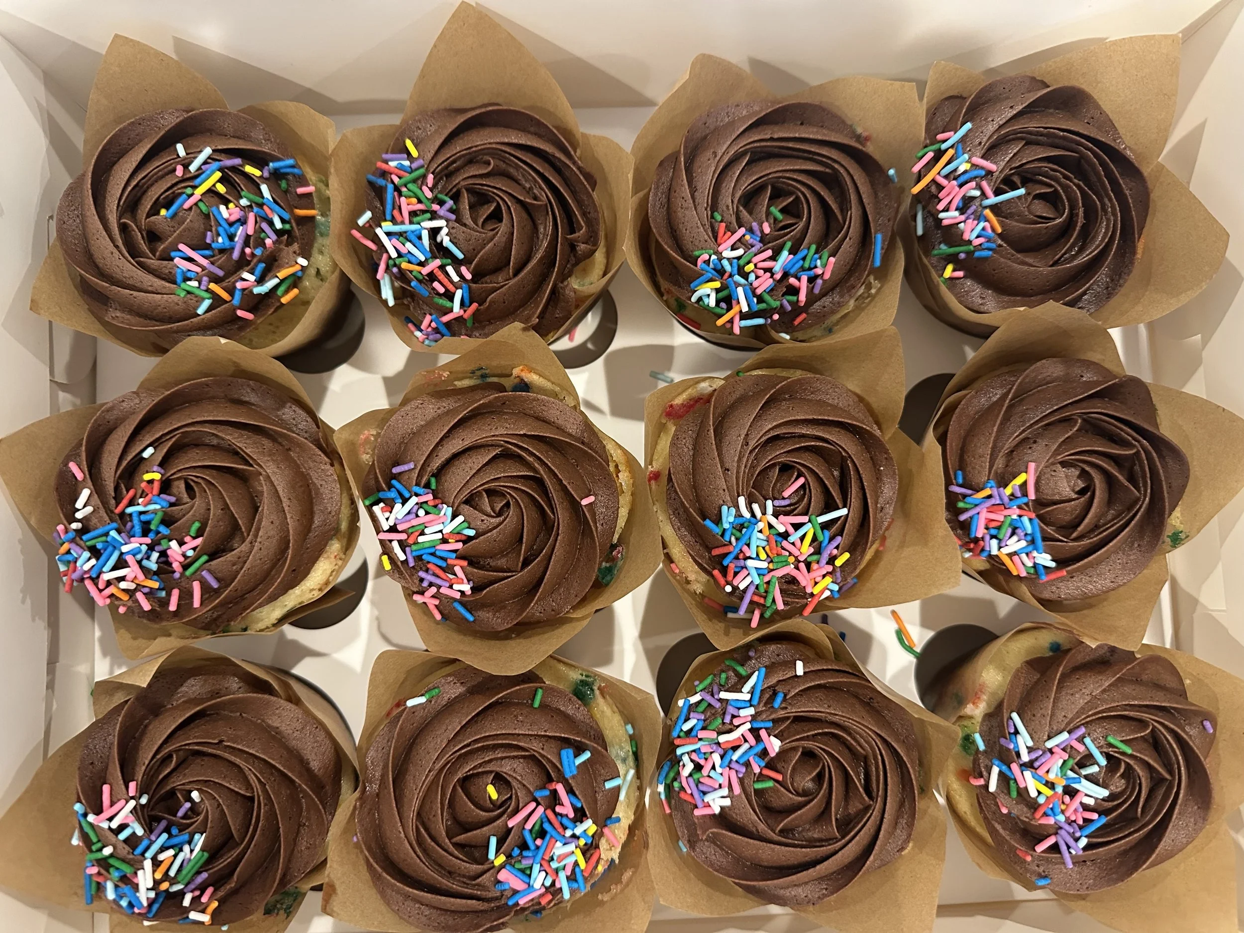 Chocolate birthday Cupcakes.jpeg