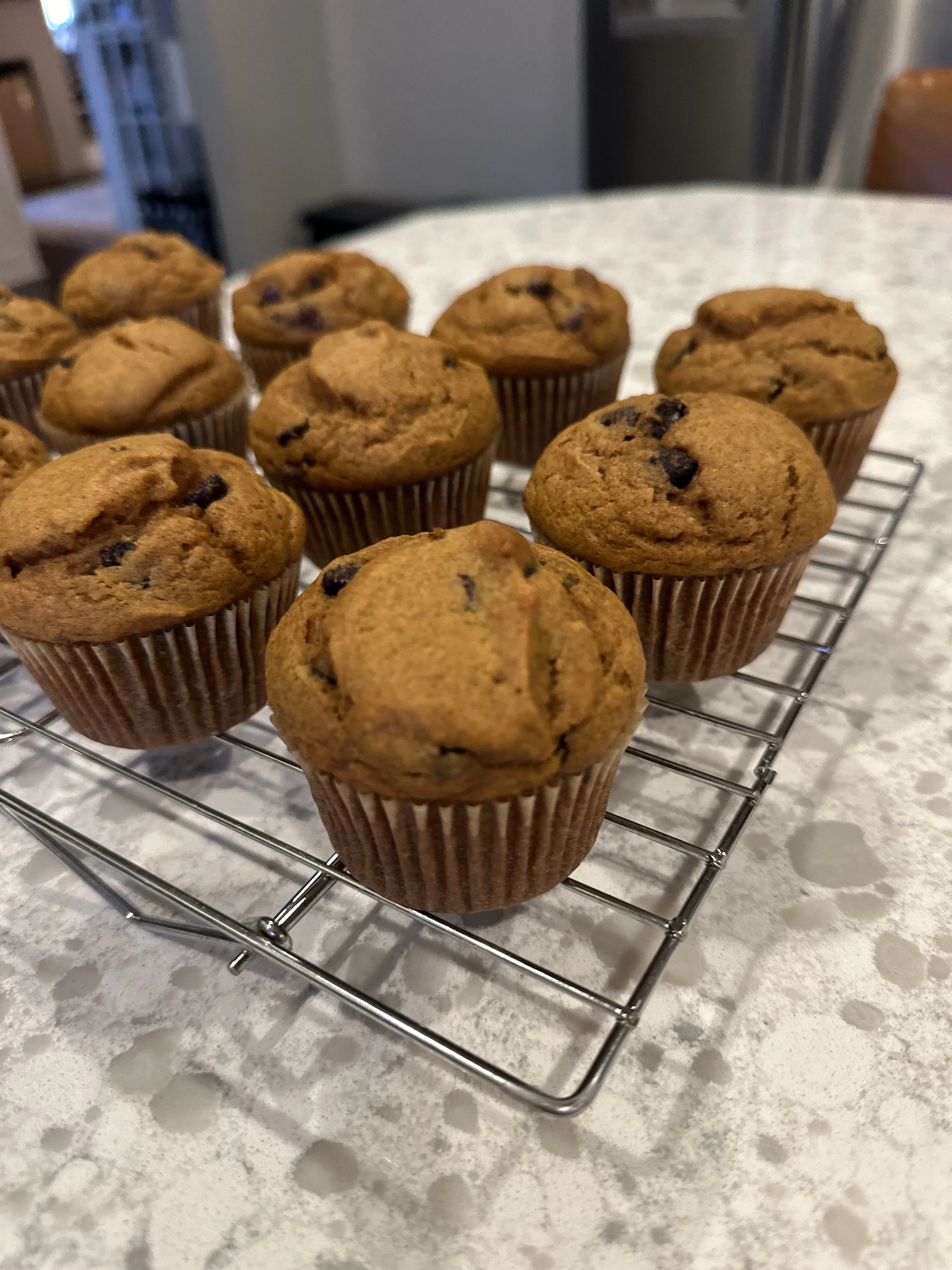 Pumpkin Muffins.jpeg