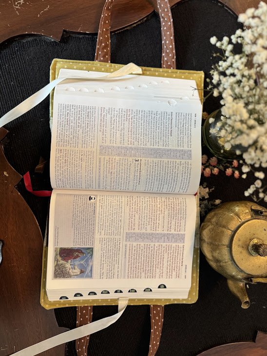 bible cover 3.jpg
