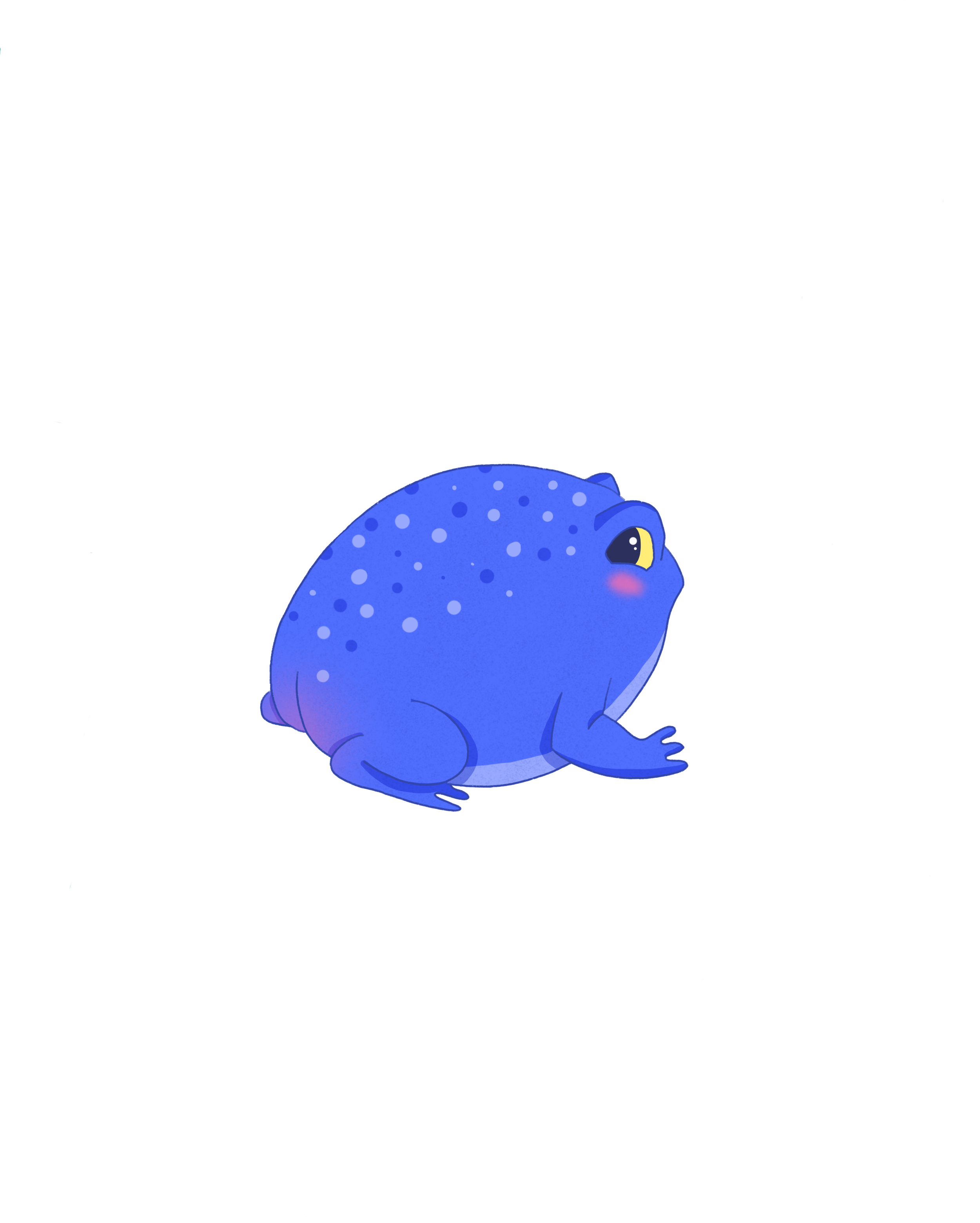 IMG_5195.PNG