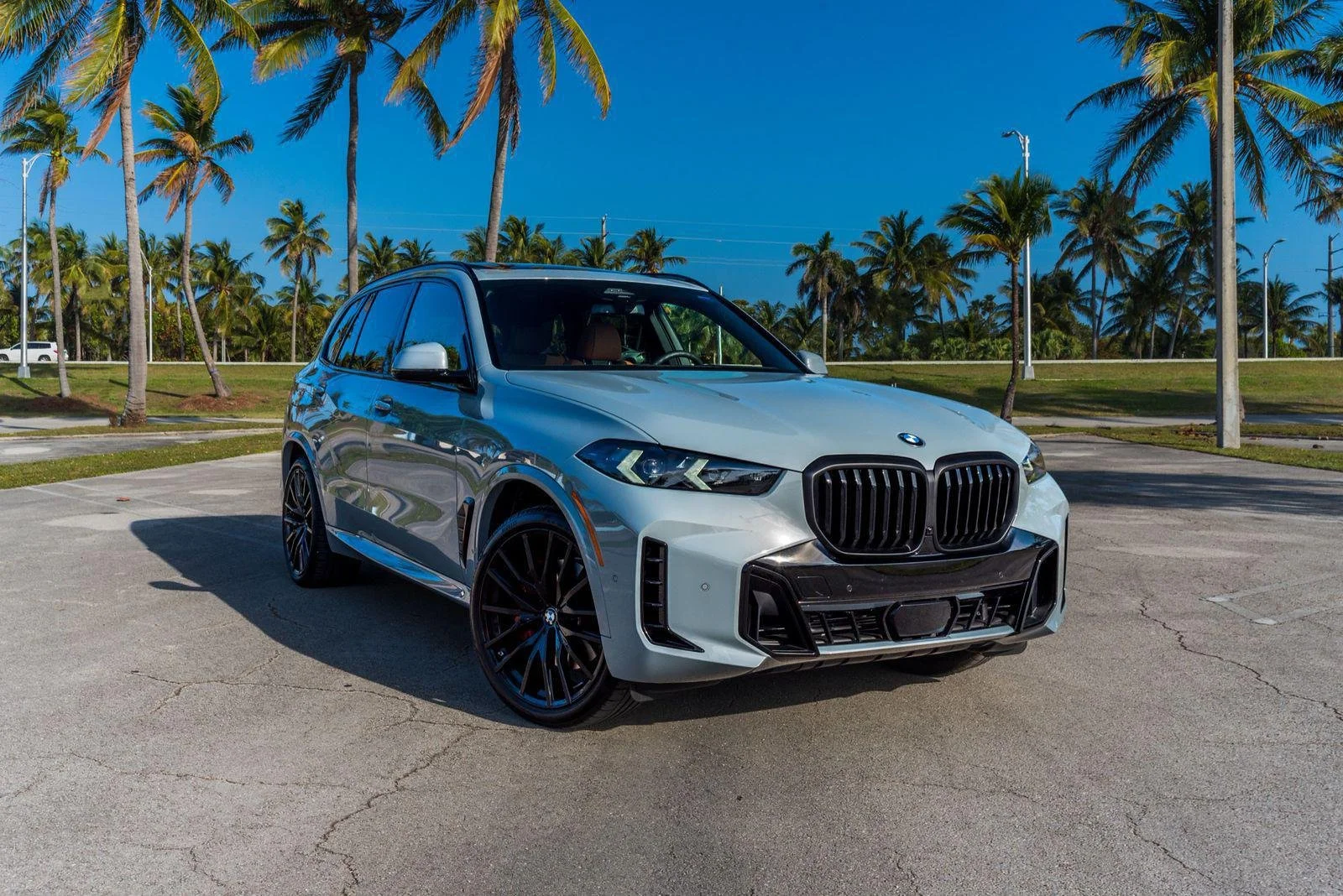 BMW X5: Elegance in Motion