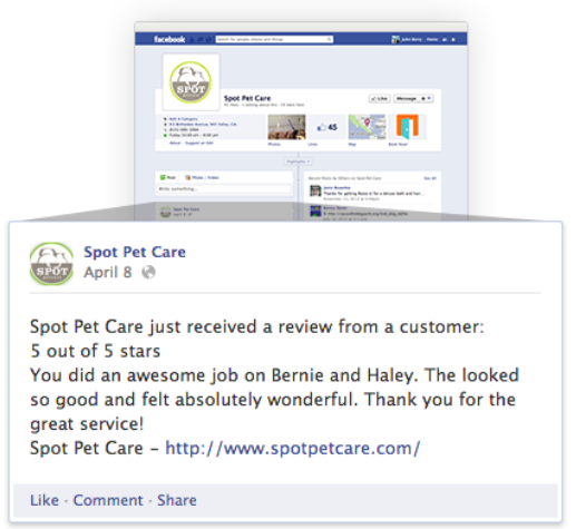 fetch booking fb review