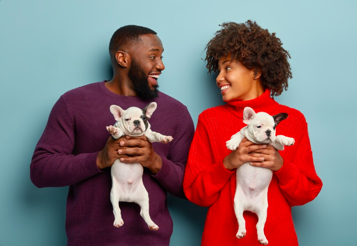 fetch booking business owners