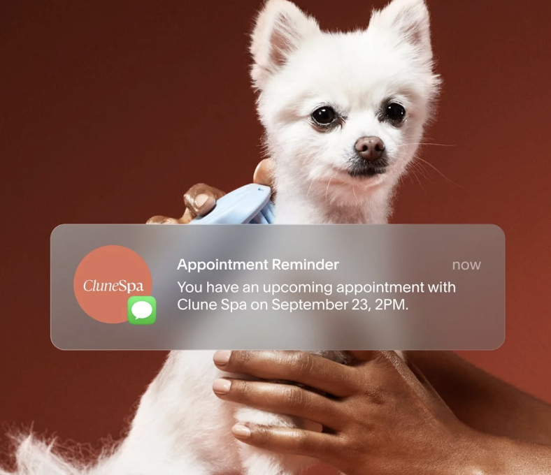 fetch booking appointment reminder