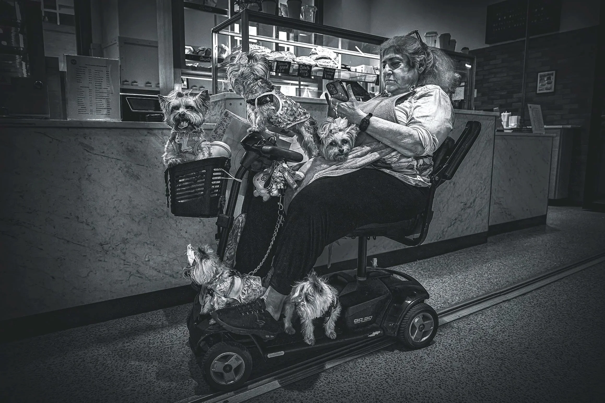 DOG+LADY+2-6.jpg