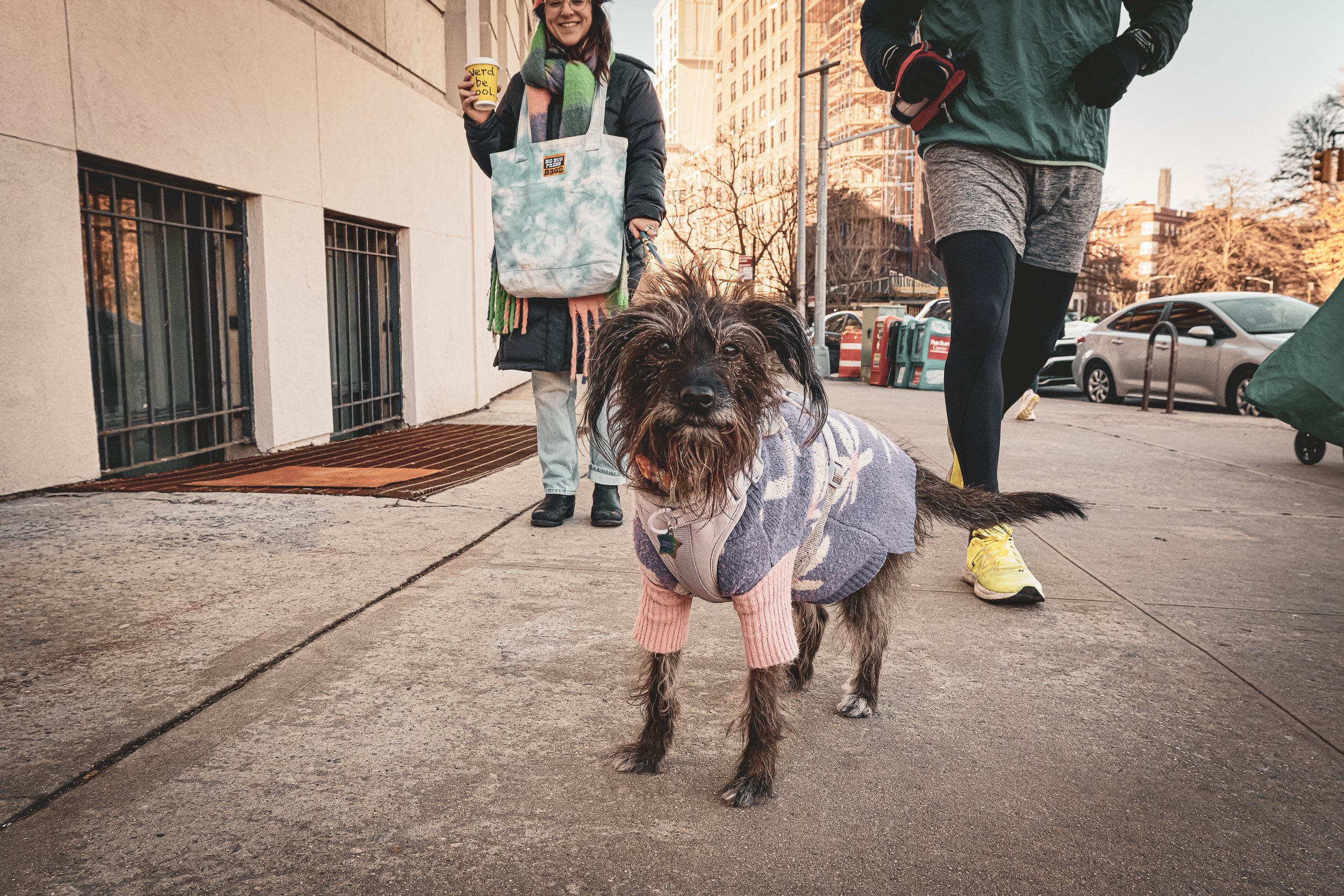 SCRAPPY DOG 2-7.jpg