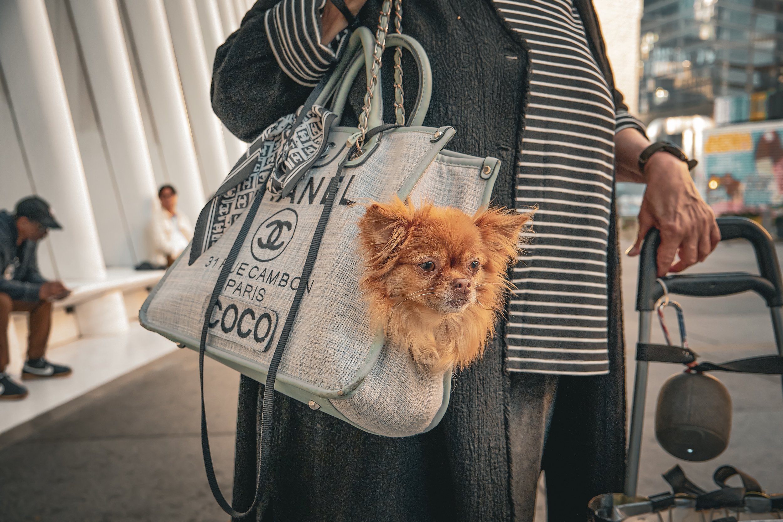 COCO-5.jpg