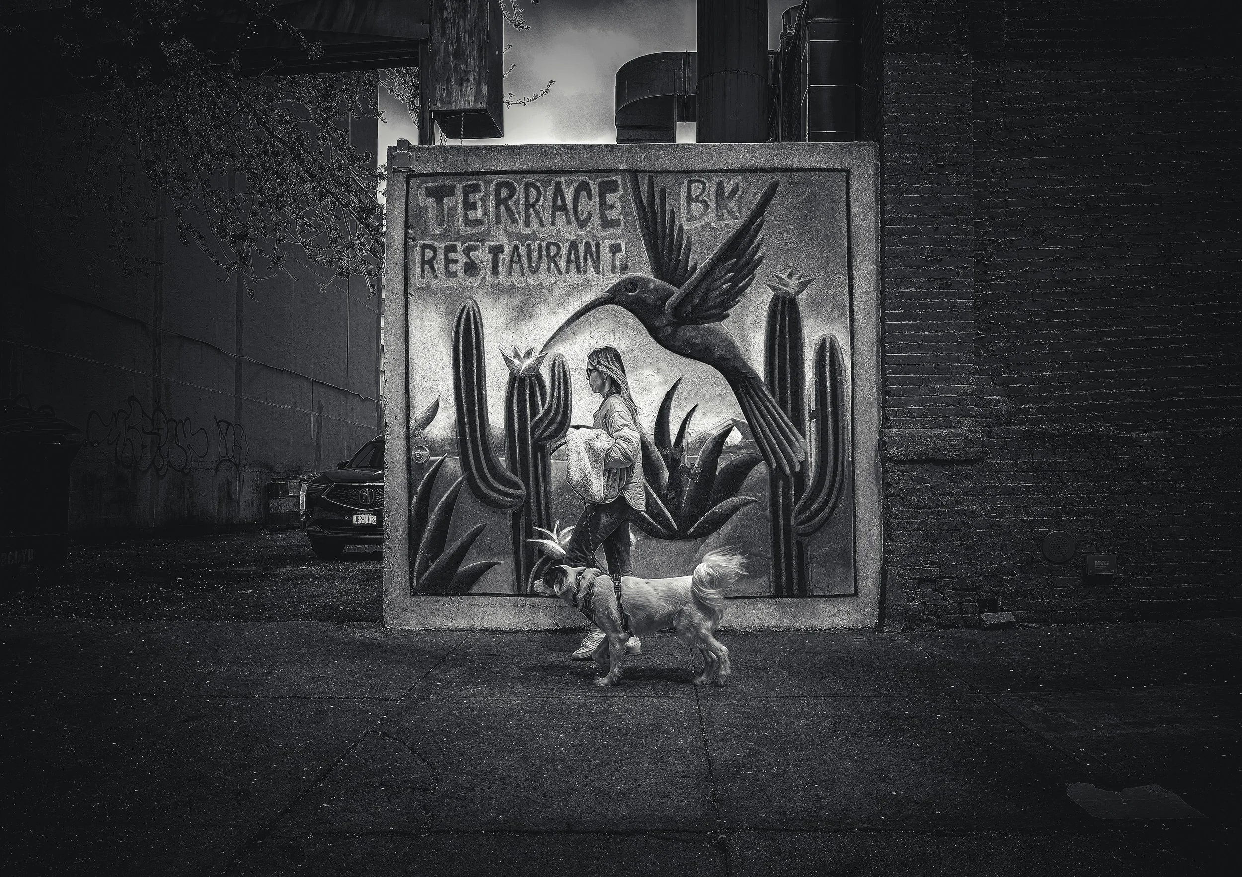 TERRACE MURAL_FINAL.jpeg