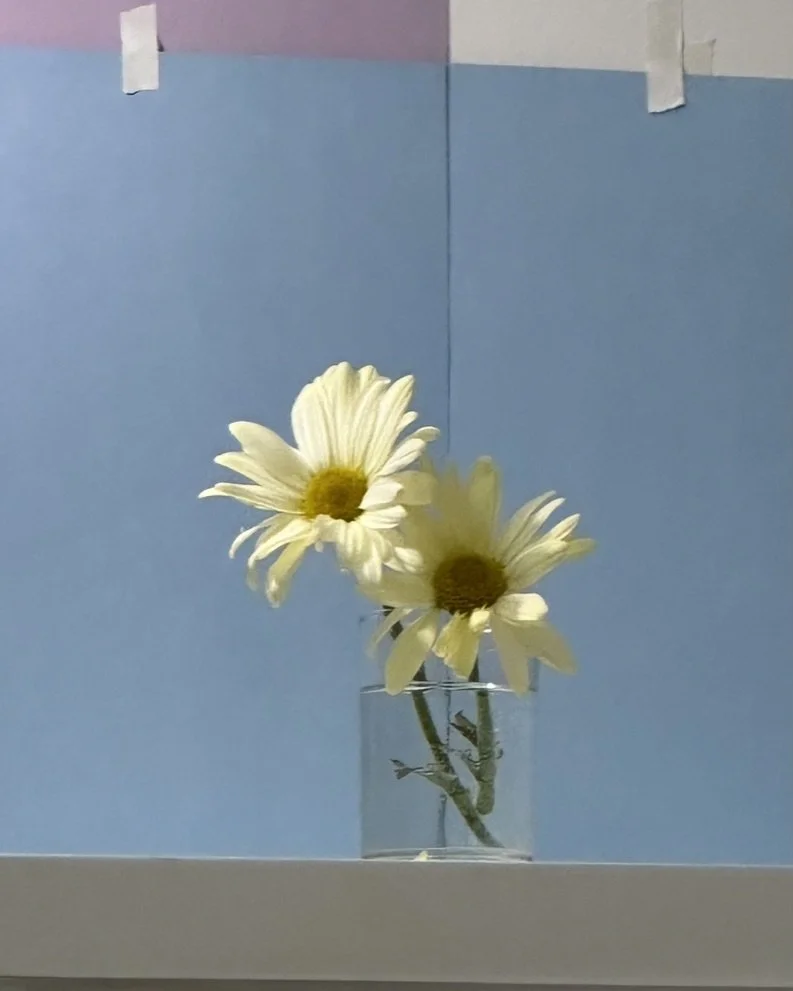 503D215D-81A9-438F-8617-AA02A30C9BDD_1_105_c.jpeg