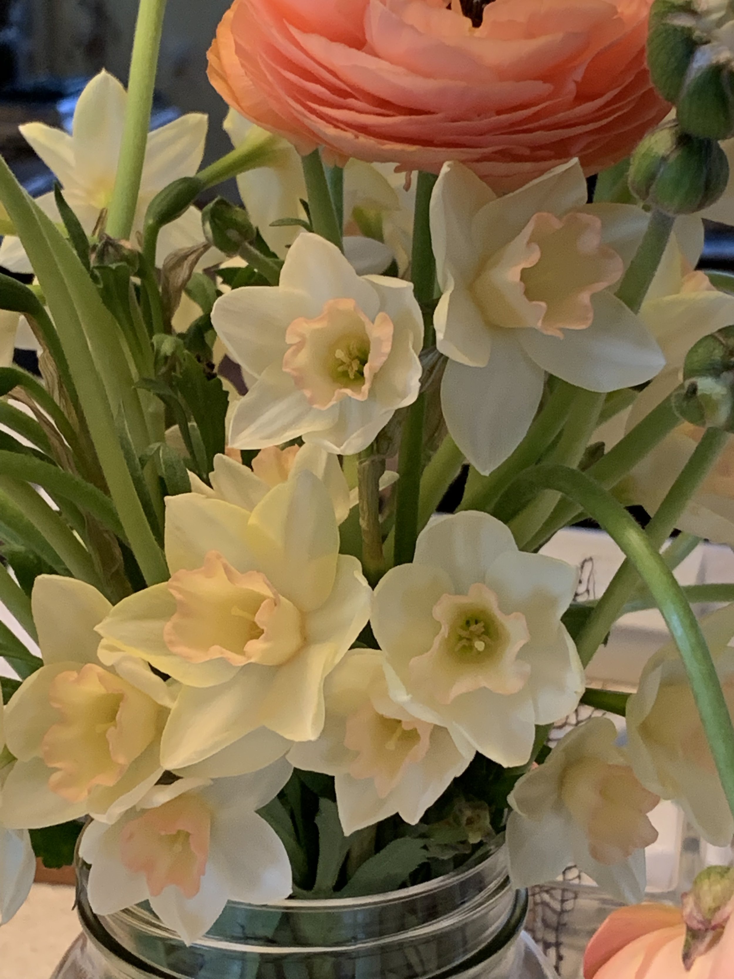 IMG_0526.jpeg