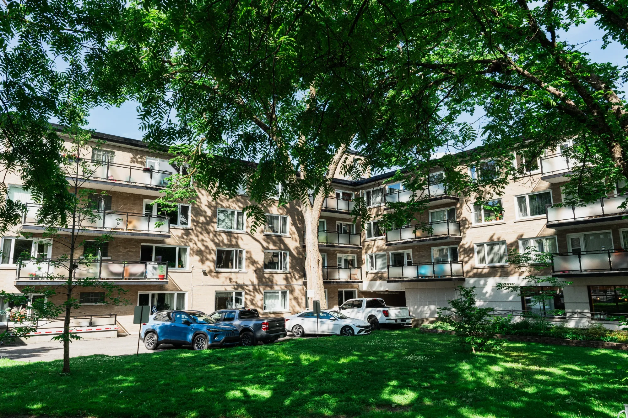 Immeuble résidentiel avec plusieurs balcons et plusieurs voitures garées au parking devant. Arbre dominant au centre, ombres portées sur l'herbe verte.